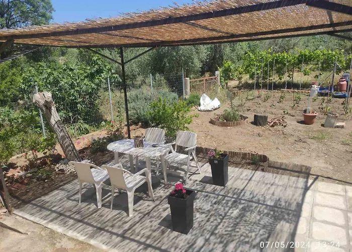 Vaso Thasos בית נופש